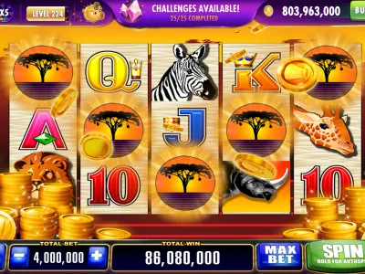 Easy Deposit Options screenshot